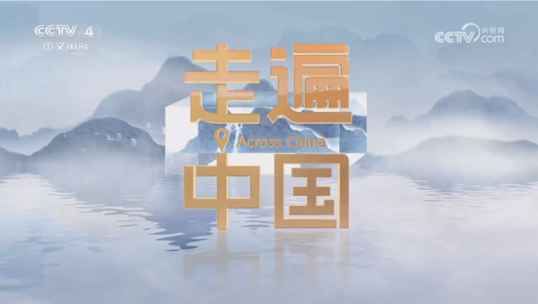 央视中文国际频道聚焦上海宝运莱智能化建设